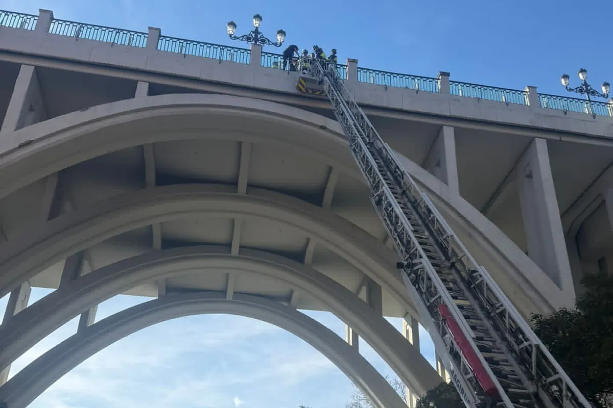Dos policías nacionales salvan a un menor en el viaducto de Bailén