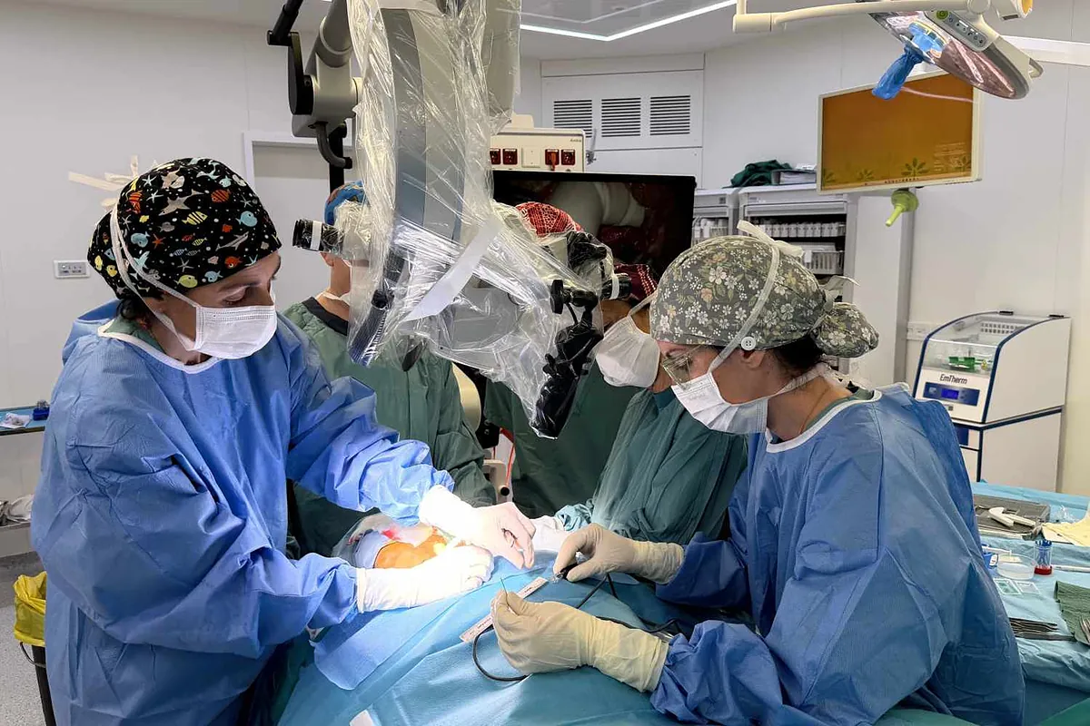 Bisturí contra el alzhéimer: el Hospital Germans Trias explora una técnica quirúrgica "revolucionaria" ante las primeras señales de la enfermedad