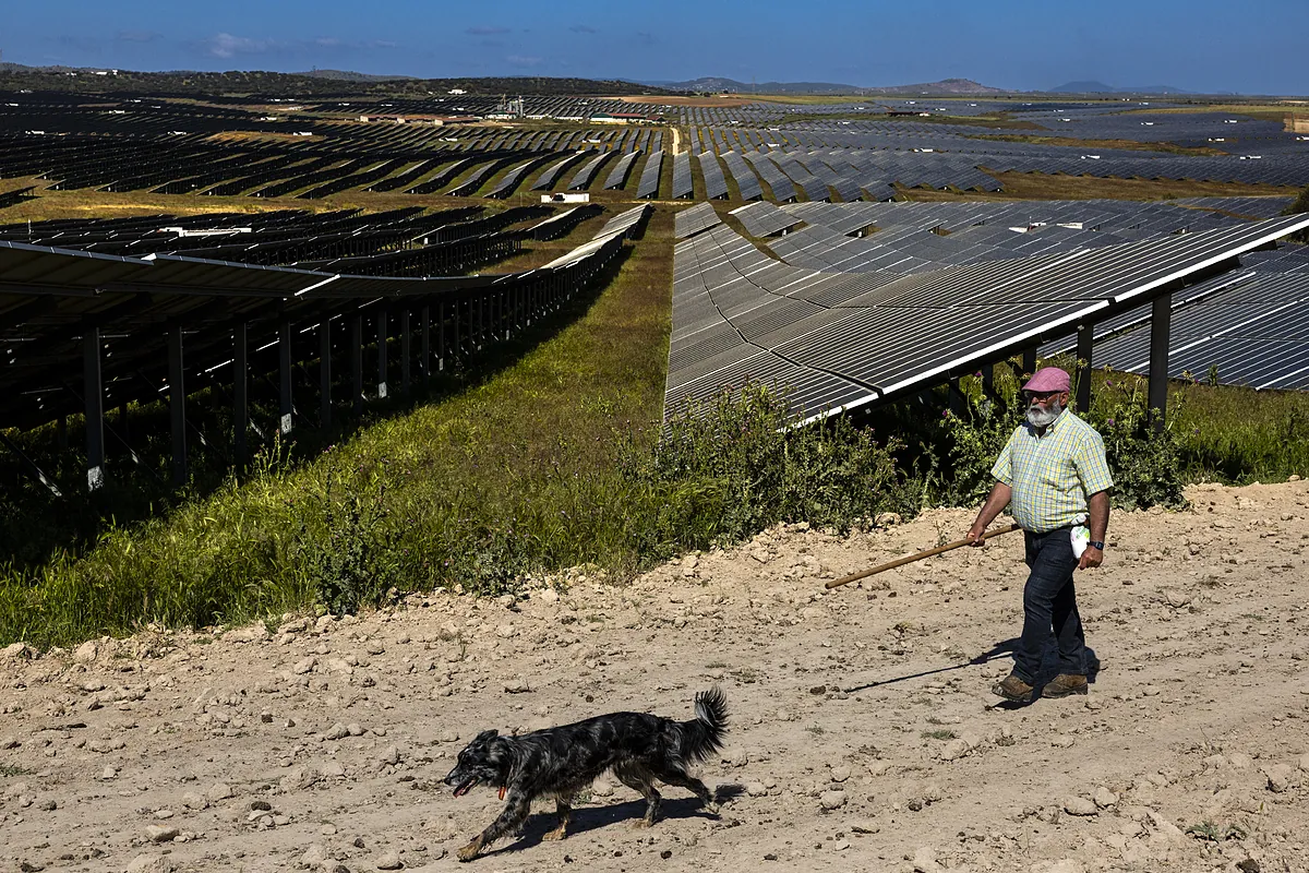 El Gobierno y Red Eléctrica permitieron una 'barra libre' de fotovoltaica que desbordó la planificación