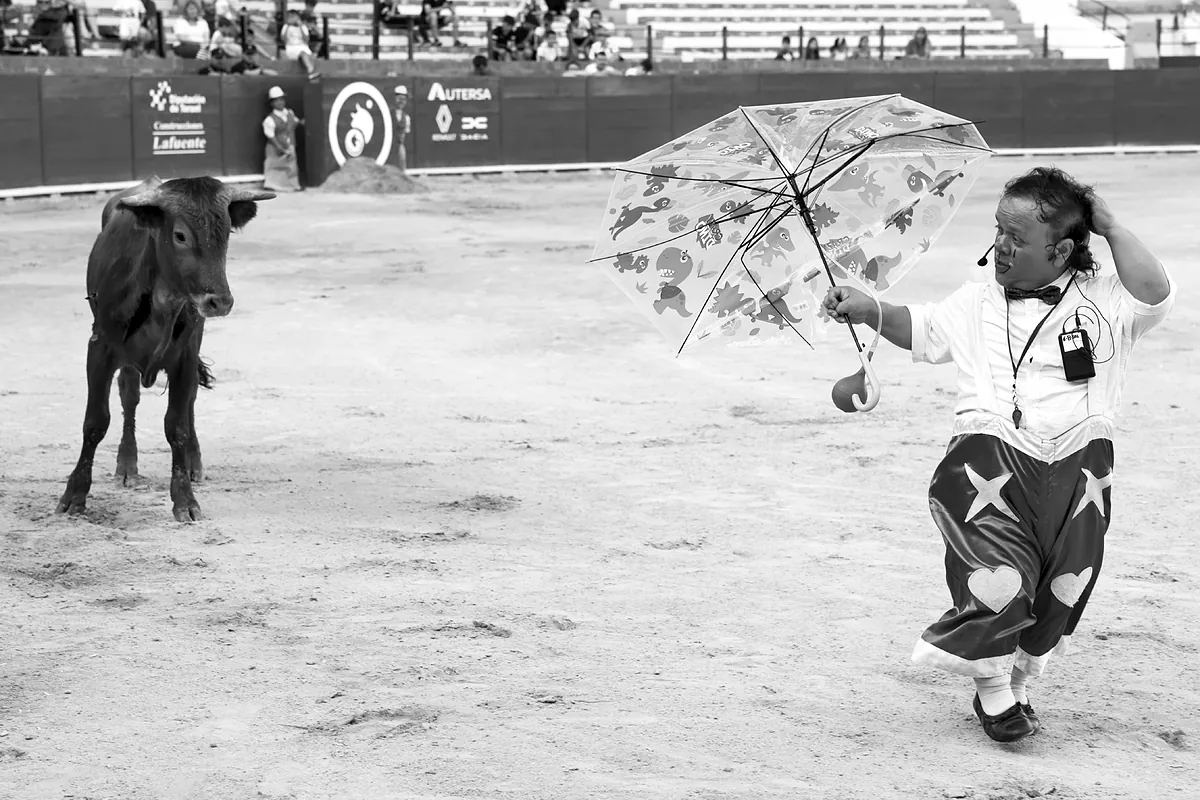 El Gobierno veta los espectáculos cómico-taurinos "denigrantes" para personas con discapacidad a través de un real decreto