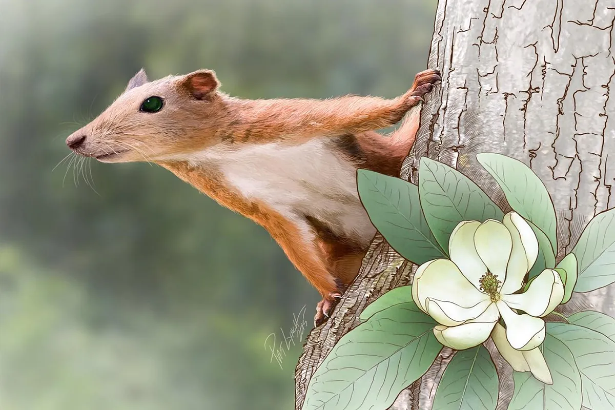 Minúsculos fósiles revelan nuevas pistas sobre el pariente más antiguo de los primates