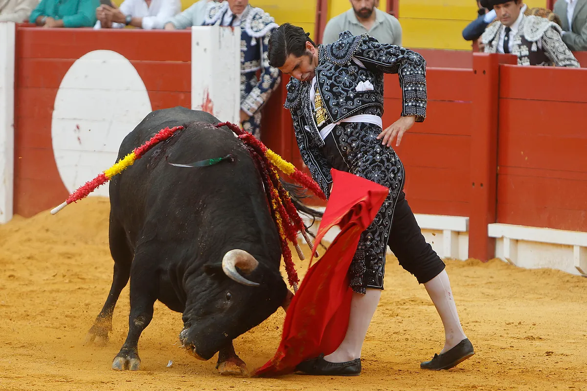 Programa de toros de San Fermín 2026: cartel, días y horarios