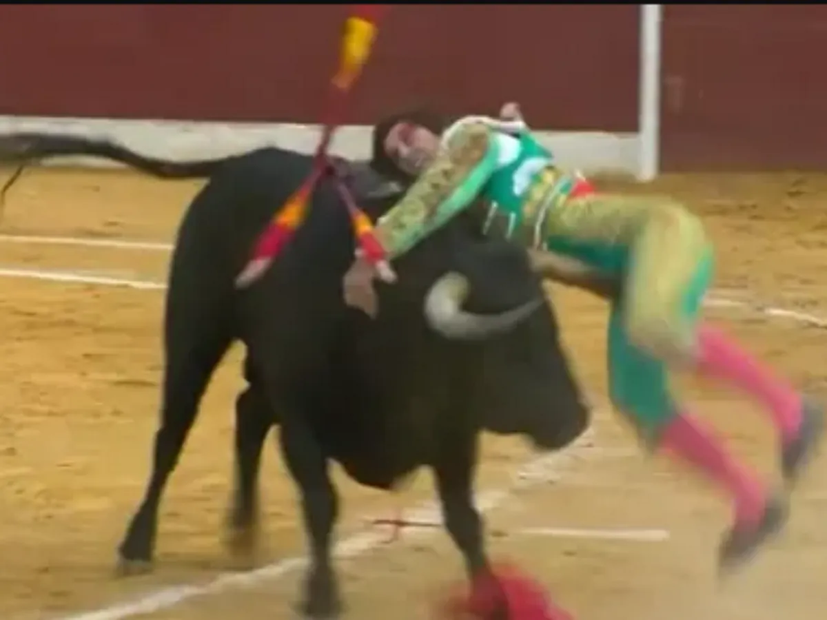 El torero Alberto Durán, en la UCI tras una cornada en el escroto que requirió un bypass vascular — image 2