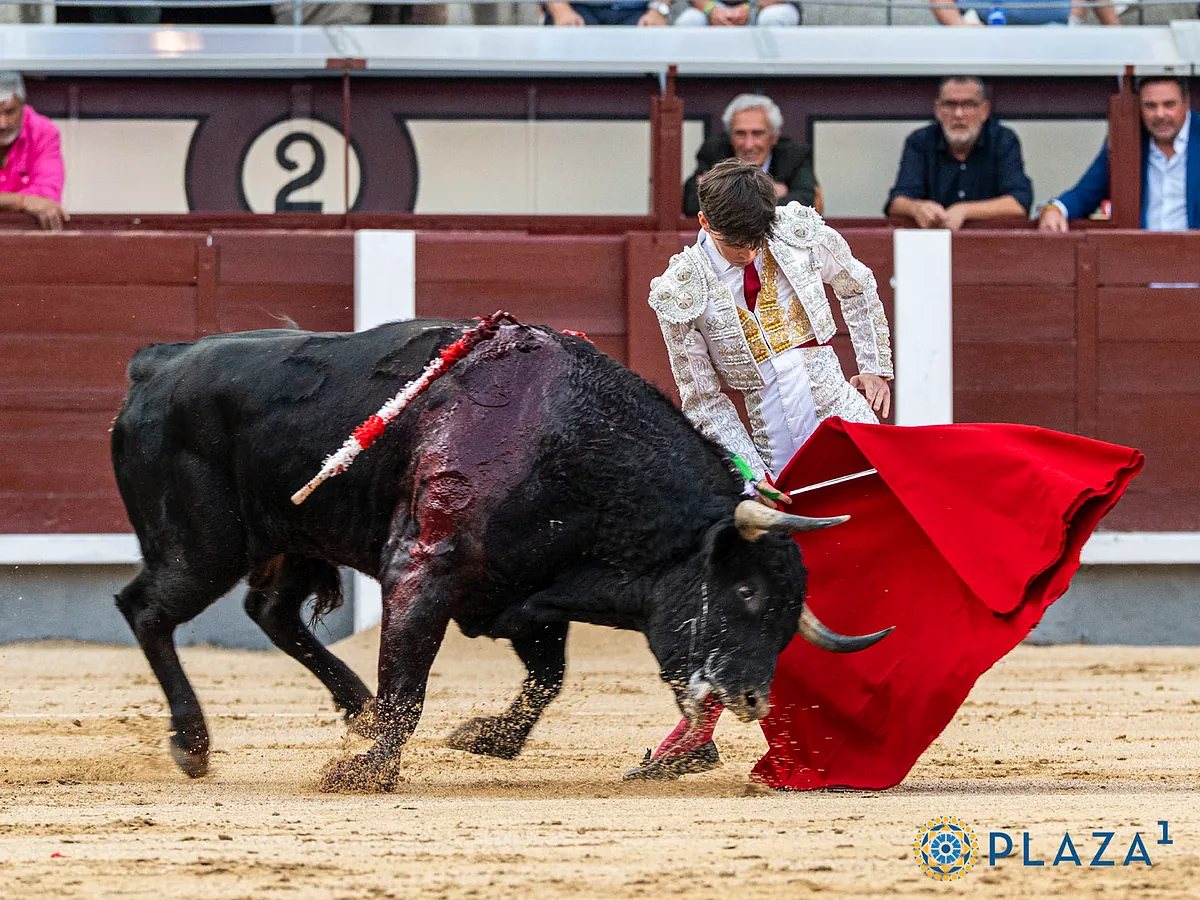 La madurez de Nacho Torrejón y la garra de Sergio Rollón sobresalen en Las Ventas