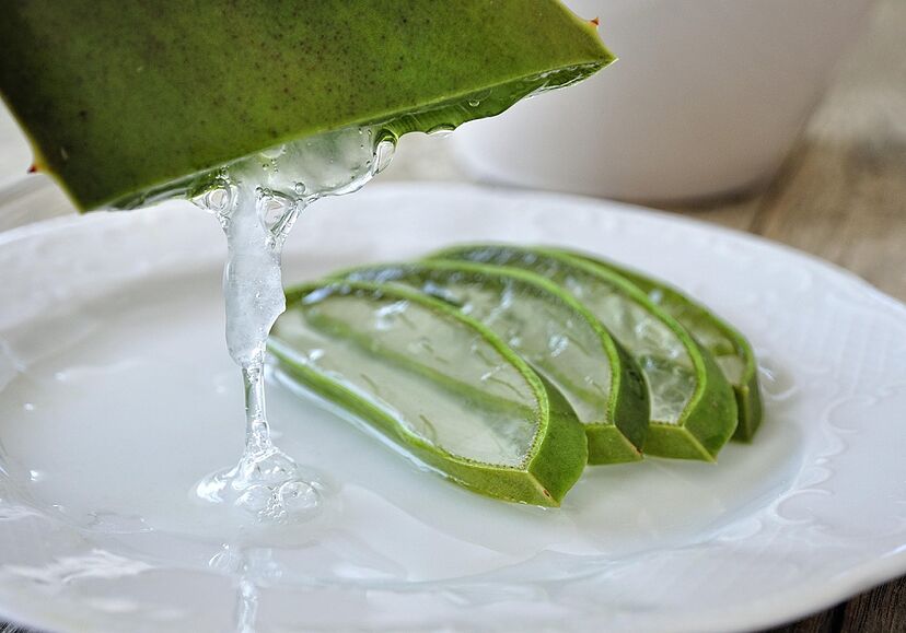 Infusi&oacute;n de aloe vera: beneficios, contraindicaciones, propiedades y c&oacute;mo  prepararla | Vida Saludable