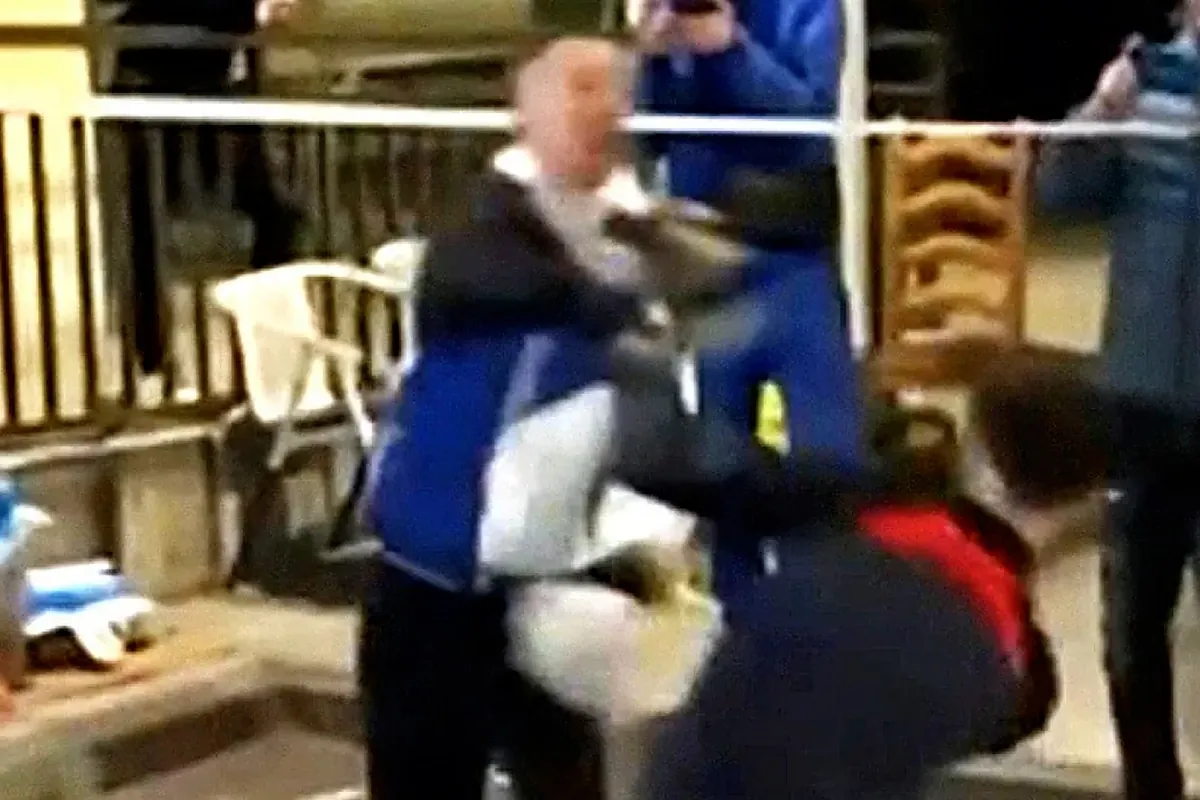 Así son las peleas clandestinas organizadas en plena vía pública en Madrid