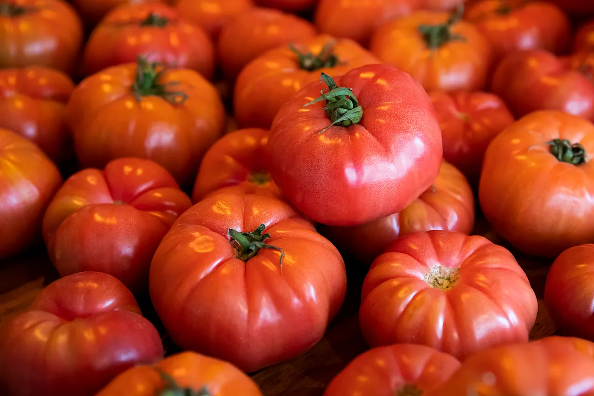 Frutas y verduras de temporada en junio de 2026