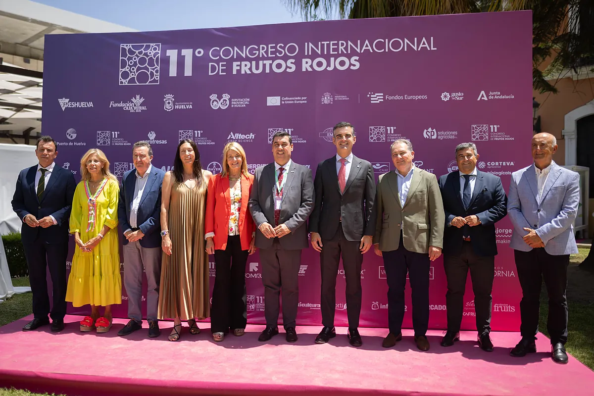 Los frutos rojos andaluces representan el 8,8% de la renta agraria regional y lideran las exportaciones nacionales