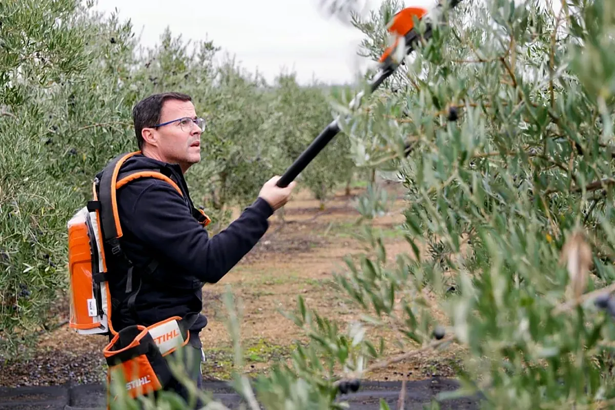 Visita a la Virgen, recogida de aceituna y partido de fútbol: así han pasado la jornada de reflexión los candidatos en Extremadura