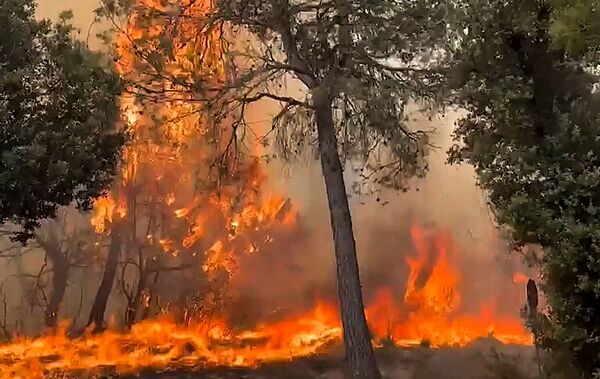 Wildfires in Spain Burn Over 14,000 Hectares, Force Evacuations